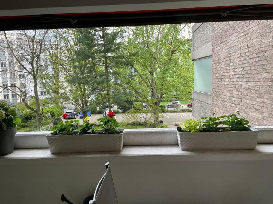 Gemutlich Und Moderne Wohnung In Düsseldorf Buitenkant foto