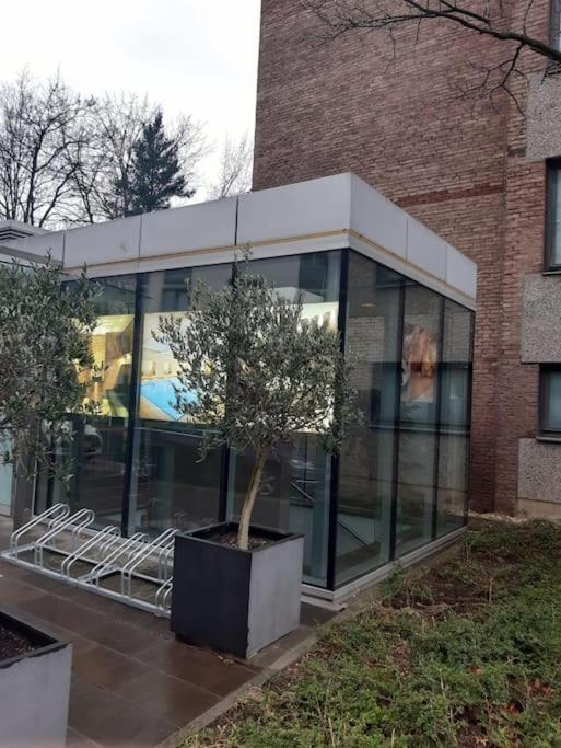Gemutlich Und Moderne Wohnung In Düsseldorf Buitenkant foto